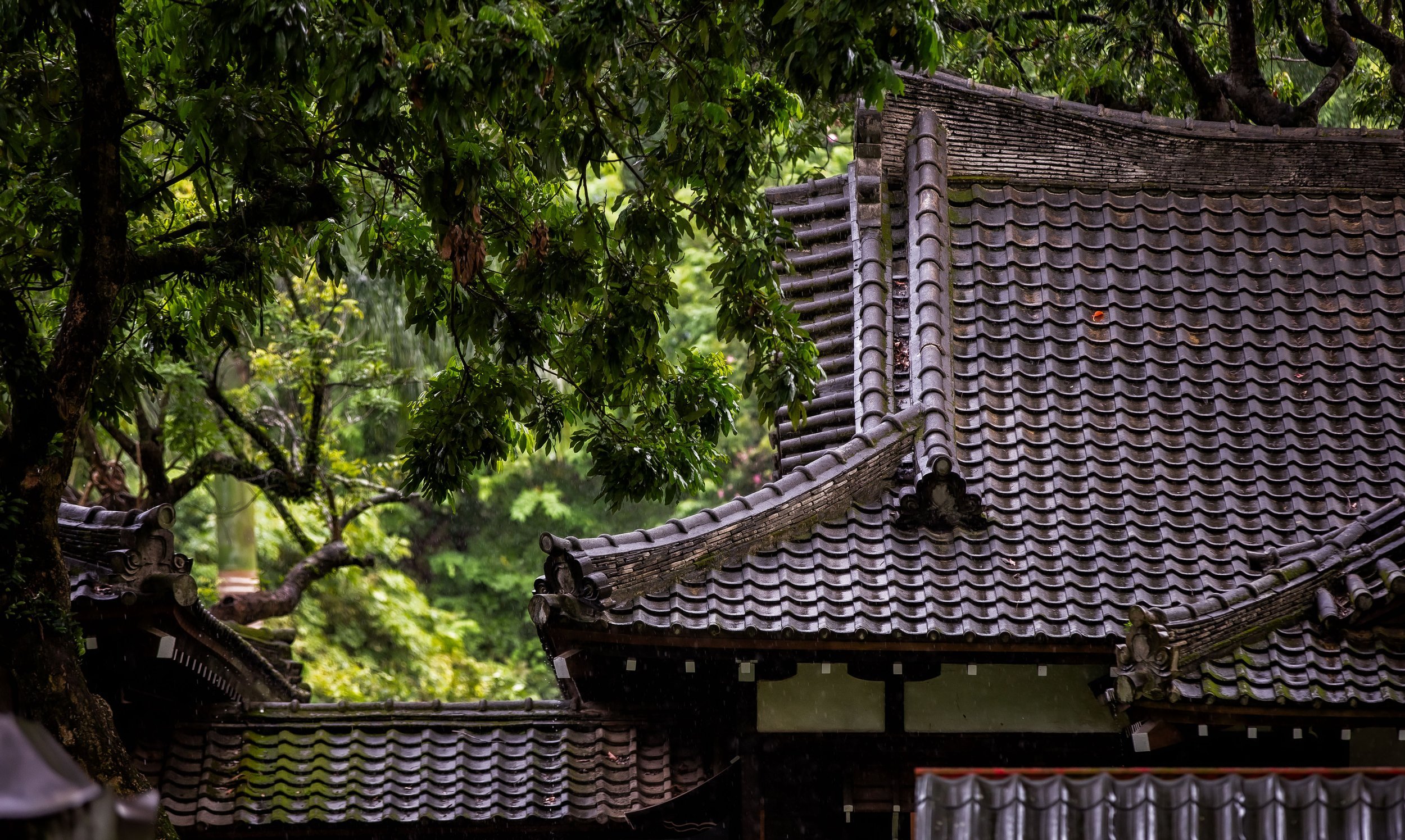 ⛩️ 오나무치 신사 (오나무치 진자) 이미지 9